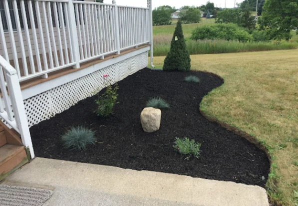 Black mulch landscaping bed with stone accent and evergreen shrubs beneath white deck railing overlooking grass field
